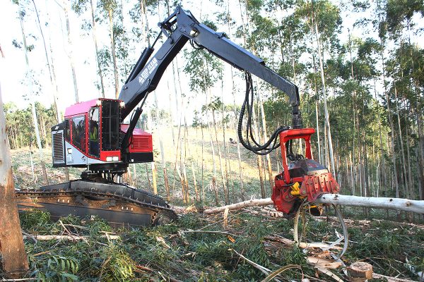 SP 591-LX-G3 Forestry Harvesting Head