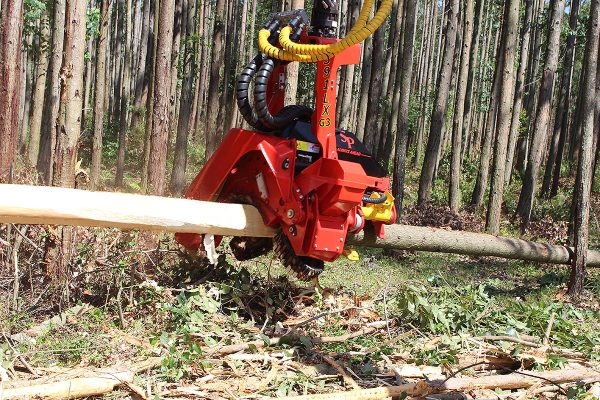 SP 591-LX-G3 Forestry Harvesting Head