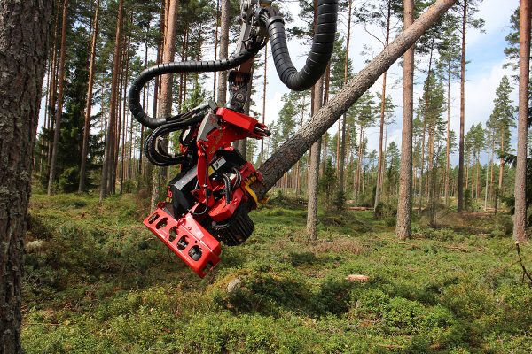 SP 461-LF Forestry Harvesting Head