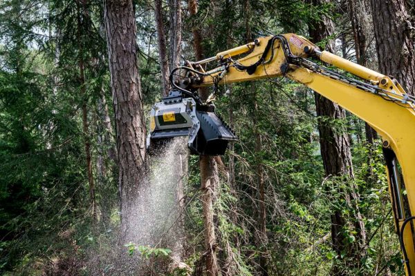 FAE BL1/EX – BL1/EX/VT Forestry Excavator Mulcher