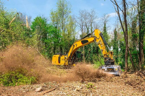 FAE BL4/EX/VT Forestry Excavator Mulcher